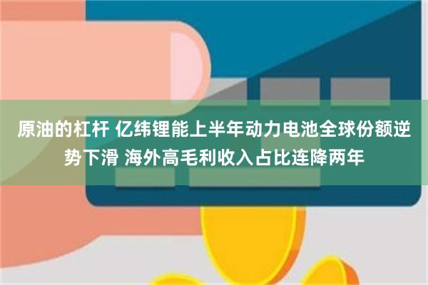 原油的杠杆 亿纬锂能上半年动力电池全球份额逆势下滑 海外高毛利收入占比连降两年