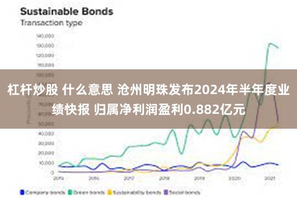 杠杆炒股 什么意思 沧州明珠发布2024年半年度业绩快报 归属净利润盈利0.882亿元