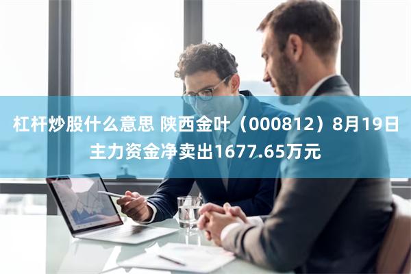 杠杆炒股什么意思 陕西金叶（000812）8月19日主力资金