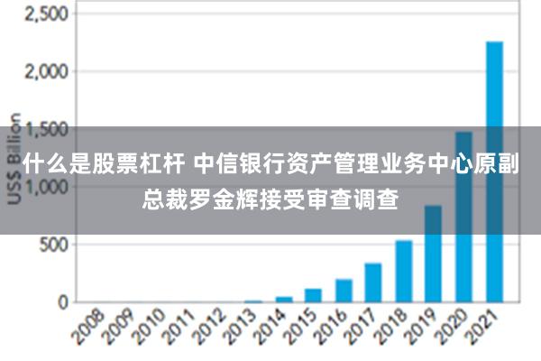 什么是股票杠杆 中信银行资产管理业务中心原副总裁罗金辉接受审查调查