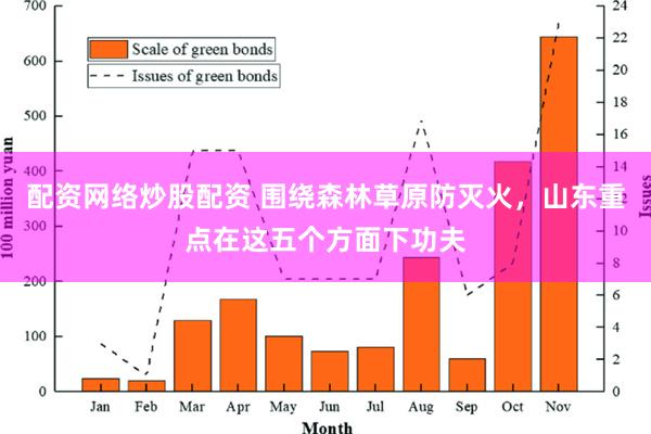 配资网络炒股配资 围绕森林草原防灭火，山东重点在这五个方面下功夫