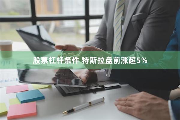 股票杠杆条件 特斯拉盘前涨超5%