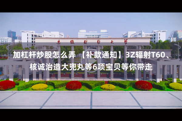 加杠杆炒股怎么弄 【补款通知】3Z辐射T60、核诚治造大兜丸等6项宝贝等你带走