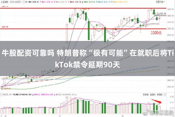 牛股配资可靠吗 特朗普称“极有可能”在就职后将TikTok禁令延期90天