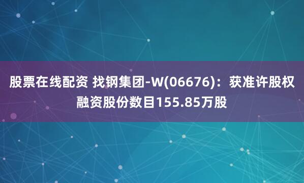 股票在线配资 找钢集团-W(06676)：获准许股权融资股份数目155.85万股