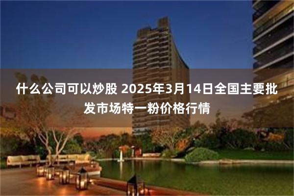 什么公司可以炒股 2025年3月14日全国主要批发市场特一粉价格行情