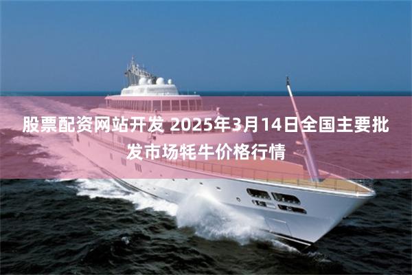 股票配资网站开发 2025年3月14日全国主要批发市场牦牛价格行情